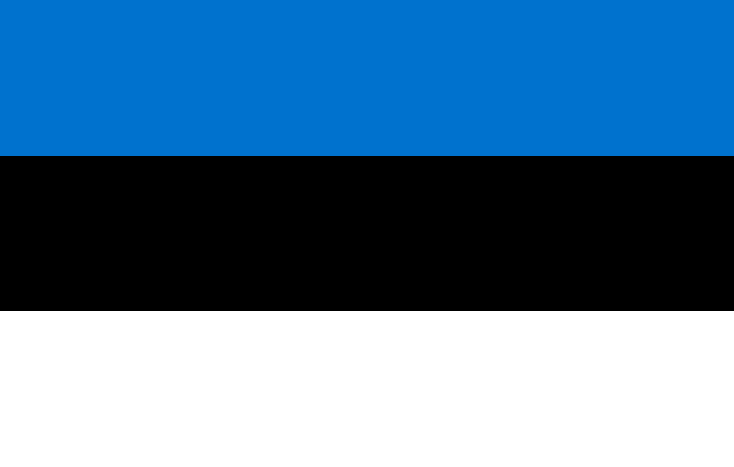 Living for a year in Estonia thumbnail